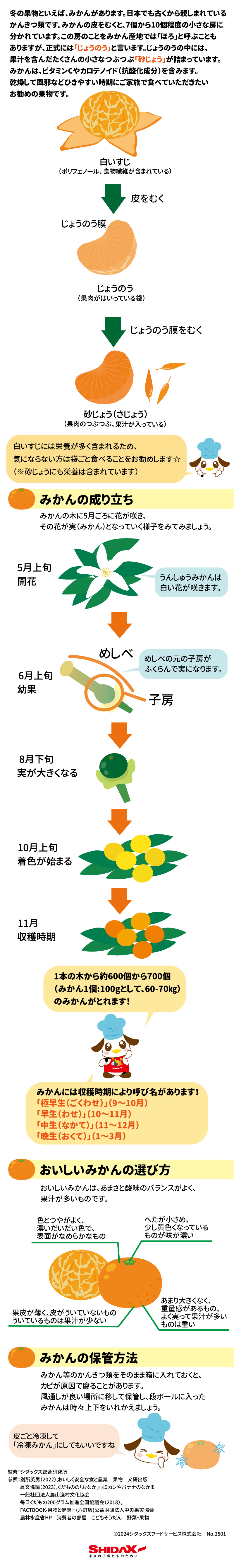 食育レター　12月号 みかん（うんしゅうみかん） 冬の果物といえば、みかんがあります。日本でも古くから親しまれているかんきつ類です。みかんの皮をむくと、 7個から10個程度の小さな房に分かれています。この房のことをみかん産地では「ほろ」と呼ぶことも ありますが、正式には「じょうのう」と言います。じょうのうの中には、果汁を含んだたくさんの小さなつぶつぶ 「砂じょう」が詰まっています。みかんは、ビタミンCやカロテノイド（抗酸化成分）を含みます。 乾燥して風邪などひきやすい時期にご家族で食べていただきたいお勧めの果物です。  白いすじ（ポリフェノール、食物繊維が含まれている） 皮をむく　じょうのう膜　じょうのう（果肉がはいっている袋）　じょうのう膜をむく 砂じょう（さじょう）（果肉のつぶつぶ、果汁が入っている）  白いすじには栄養が多く含まれるため、気にならない方は袋ごと食べることをお勧めします☆ （砂じょうにも栄養は含まれています）  みかんの成り立ち みかんの木に5月ごろに花が咲き、その花が実（みかん）となっていく様子をみてみましょう。 5月上旬開花　うんしゅうみかんは白い花が咲きます。 めしべ　子房　めしべの元　の子房がふくらんで実になります。 6月上旬　幼果　 8月下旬　実が大きくなる 10月上旬　着色が始まる 11月　収穫時期 みかんには収穫時期により呼び名があります！ 「極早生（ごくわせ）」（９～10月） 「早生（わせ）」（10～11月） 「晩生（おくて）」（1～３月）  1本の木から約600個から700個（みかん1個：100gとして、60-70㎏）のみかんがとれます！  おいしいみかんの選び方 おいしいみかんは、あまさと酸味のバランスがよく、果汁が多いものです。 色とつやがよく、濃いだいだい色で、表面がなめらかなもの 果皮が薄く、皮がういていないものういているものは果汁が少ない へたが小さめ、少し黄色くなっているものが味が濃い あまり大きくなく、重量感があるもの、よく実って果汁が多いものは重い みかんの保管方法 みかん等のかんきつ類をそのまま箱に入れておくと、カビが原因で腐ることがあります。風通しが良い場所に移して保管し、段ボールに入ったみかんは時々上下をいれかえましょう。 皮ごと冷凍して「冷凍みかん」にしてもいいですね みかんがたくさんあるときは こちらもおススメです♪ 簡単☆みかんジャムレシピ 監修：シダックス総合研究所 参照：別所英男（2022）,おいしく安全な食と農業　果物　文研出版　 　　 農文協編（2023）,くだものの「おなか」③ミカンやバナナのなかま　一般社団法人農山漁村文化協会 　　 毎日くだもの200グラム推進全国協議会（2018）,FACTBOOK-果物と健康ー(六訂版)公益財団法人中央果実協会 農林水産省HP　消費者の部屋　こどもそうだん　野菜・果物