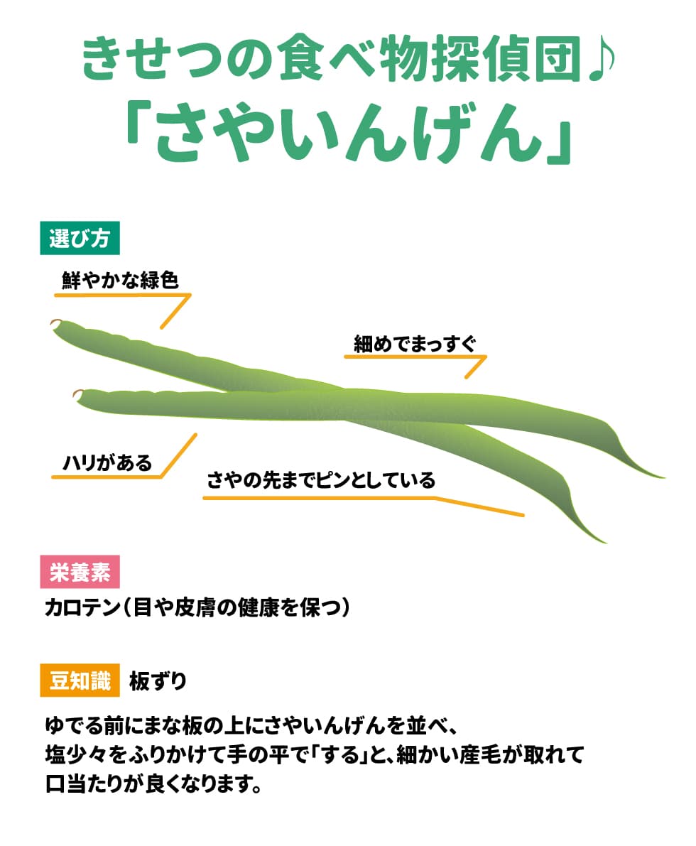 きせつの食べ物探偵団　　　さやいんげん 選び方：鮮やかな緑色　細めでまっすぐ　ハリがある　さやの先までピンとしている 栄養素：カロテン（目や皮膚の健康を保つ） 豆知識：板ずり ゆでる前にまな板の上にさやいんげんを並べ、塩を少々をふりかけて手の平で「する」と、細かい産毛が取れて口当たりが良くなります。