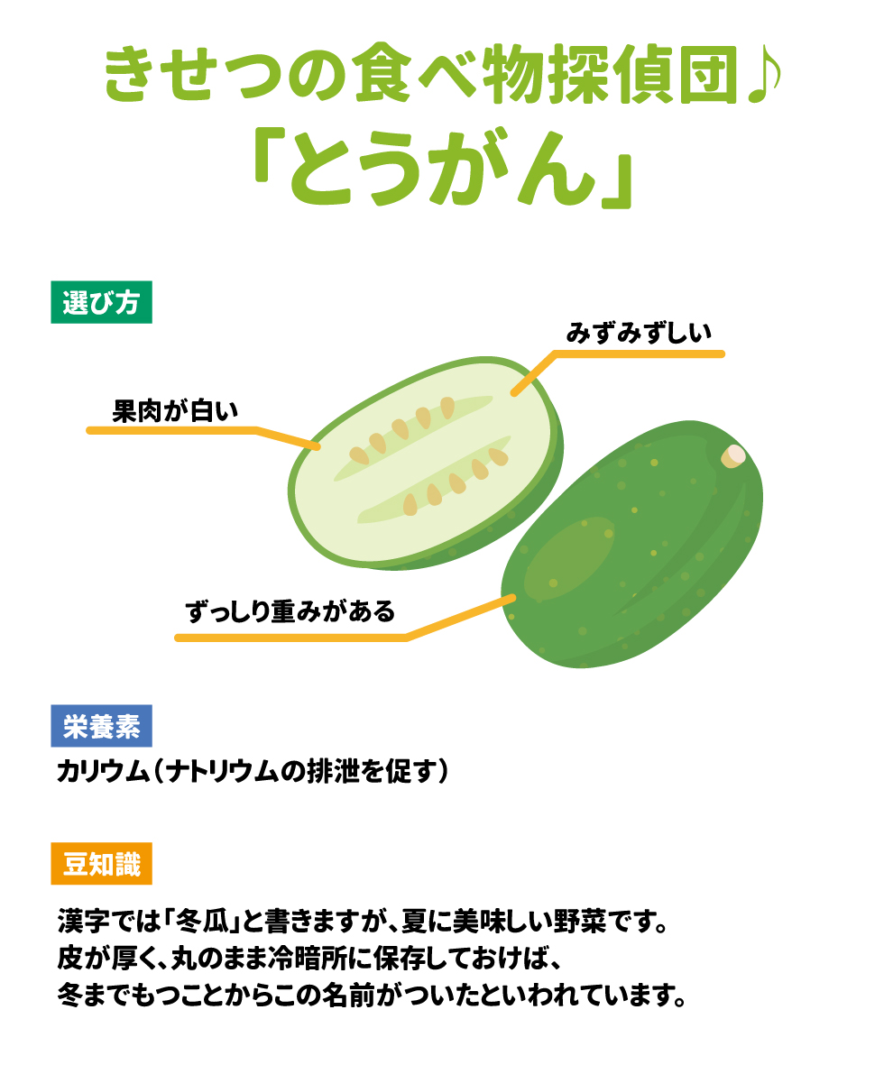 きせつの食べ物探偵団　　　とうがん 選び方：ずっしり重みがある　果肉が白い　みずみずしい 栄養素：カリウム（ナトリウムの排泄を促す） 豆知識：漢字では「冬瓜」と書くきますが、夏に美味しい野菜です。皮が厚く、丸のまま冷暗所に保存しておけば、冬までもつことからこの名前がついたといわれています。