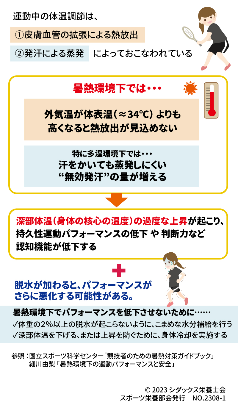 暑熱環境下で起こる身体の変化を知ろう！ 運動中の体温調節は、 ➀皮膚血管の拡張による熱放出②発汗による蒸発によっておこなわれている 暑熱環境下では・・・外気温が体表温（≈34℃） よりも高くなると熱放出が見込めない 特に多湿環境下では、汗をかいても蒸発しにくい“無効発汗”の量が増える 深部体温（身体の核心の温度）の過度な上昇が起こり、持久性運動パフォーマンスの低下 や 判断力など認知機能が低下する 脱水が加わると、パフォーマンスがさらに悪化する可能性がある。 暑熱環境下でパフォーマンスを低下させないために…… ✓体重の２％以上の脱水が起こらないように、こまめな水分補給を行う ✓深部体温を下げる、または上昇を防ぐために、身体冷却を実施する