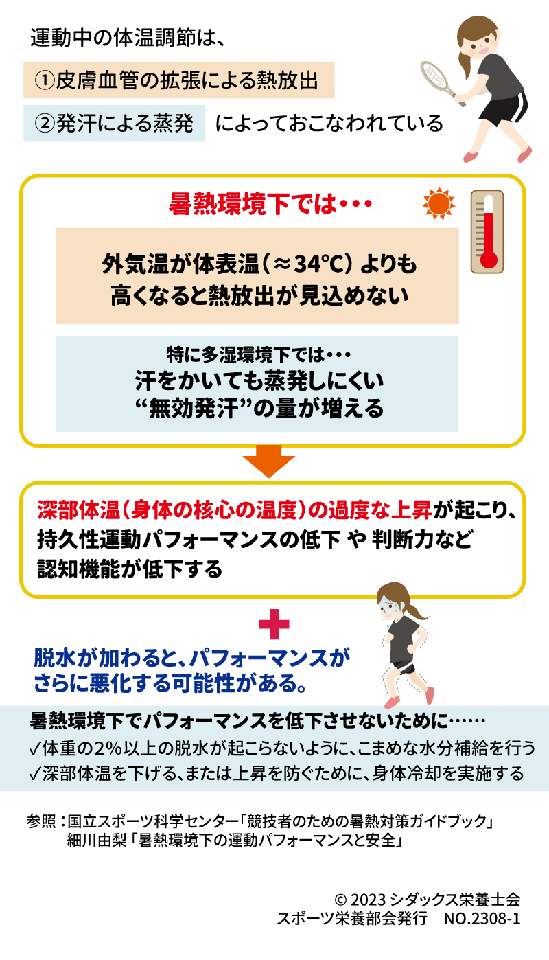 暑熱環境下で起こる身体の変化を知ろう！ | シダックスのコラム