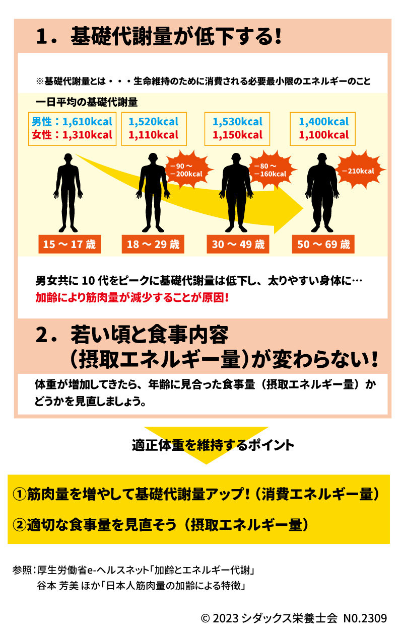 年齢と共に太りやすくなったのはなぜ…？適正体重を維持しよう 1．基礎代謝量が低下する！ 男女共に10代をピークに基礎代謝量は低下し、太りやすい身体に… その理由は、 加齢により筋肉量が減少するため。 2．若い頃と食事内容（摂取エネルギー量）が変わらない！ 体重が増加してきたら、年齢に見合った食事量（摂取エネルギー量）かどうかを 　見直しましょう。 適正体重を維持するポイント ①筋肉量を増やして基礎代謝量アップ！（消費エネルギー量） ②適切な食事量を見直そう（摂取エネルギー量）