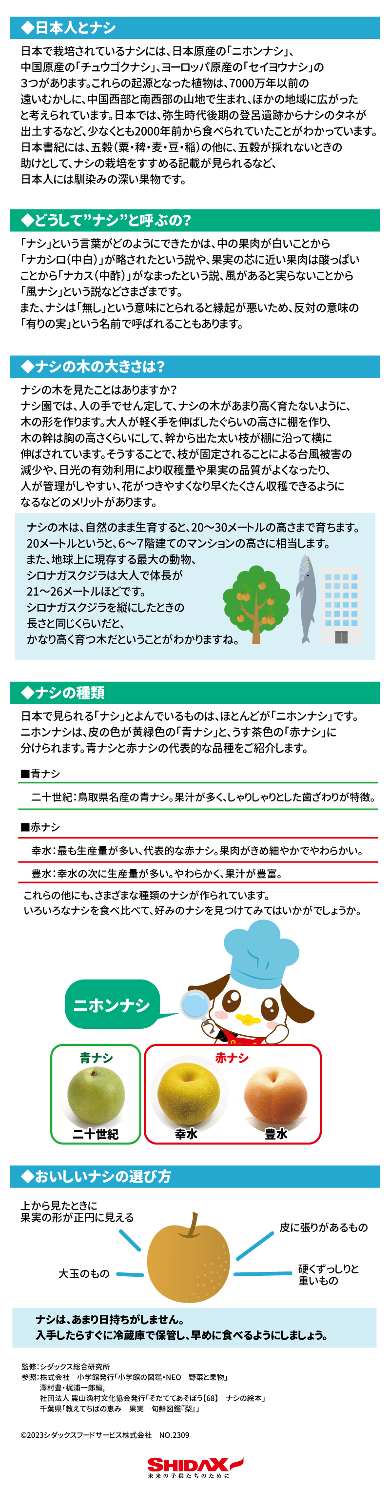 夏～秋においしい！”ナシ” 【日本人とナシ】 日本で栽培されているナシには、日本原産の「ニホンナシ」、中国原産の「チュウゴクナシ」、ヨーロッパ原産の「セイヨウナシ」の３つがあります。これらの起源となった植物は、7000万年以前の遠いむかしに、中国西部と南西部の山地で生まれ、ほかの地域に広がったと考えられています。 日本では、弥生時代後期の登呂遺跡からナシのタネが出土するなど、少なくとも2000年前から食べられていたことがわかっています。日本書紀には、五穀（粟・稗・麦・豆・稲）の他に、五穀が採れないときの助けとして、ナシの栽培をすすめる記載が見られるなど、日本人には馴染みの深い果物です。 【どうして”ナシ”と呼ぶの？】 「ナシ」という言葉がどのようにできたかは、中の果肉が白いことから「ナカシロ（中白）」が略されたという説や、果実の芯に近い果肉は酸っぱいことから「ナカス（中酢）」がなまったという説、風があると実らないことから「風ナシ」からという説などさまざまです。 また、ナシは「無し」という意味にとられると縁起が悪いため、反対の意味の「有りの実」という名前で呼ばれることもあります。 【ナシの木の大きさは？】 ナシの木を見たことはありますか？ ナシ園では、人の手でせん定して、ナシの木があまり高く育たないように、木の形を作ります。大人が軽く手を伸ばしたぐらいの高さに棚を作り、木の幹は胸の高さくらいにして、幹から出た太い枝が棚に沿って横に伸ばされています。そうすることで、枝が固定されることによる台風被害の減少や、日光の有効利用により収穫量や果実の品質がよくなったり、人が管理がしやすい、花がつきやすくなり早くたくさん収穫できるようになるなどのメリットがあります。 ナシの木は、自然のまま生育すると、20～30メートルの高さまで育ちます。20メートルというと、６～７階建てのマンションの高さに相当します。また、地球上に現存する最大の動物、シロナガスクジラは大人で体長が21～26メートルほどです。シロナガスクジラを縦にしたときの長さと同じくらいだと、かなり高く育つ木だということがわかりますね。 【ナシの種類】 日本で見られる「ナシ」とよんでいるものは、ほとんどが「ニホンナシ」です。 ニホンナシは、皮の色が黄緑色の「青ナシ」と、うす茶色の「赤ナシ」に分けられます。 青ナシと赤ナシの代表的な品種をご紹介します。 ■青ナシ 二十世紀：鳥取県名産の青ナシ。果汁が多く、しゃりしゃりとした歯ざわりが特徴。 ■赤ナシ 幸水：最も生産量が多い、代表的な赤ナシ。果肉がきめ細やかでやわらかい。　 豊水：幸水の次に生産量が多い。やわらかく、果汁が豊富。 これらの他にも、さまざまな種類のナシが作られています。 いろいろなナシを食べ比べて、好みのナシを見つけてみてはいかがでしょうか。 【おいしいナシの選び方】 上から見たときに果実の形が正円に見える 皮に張りがあるもの   　大玉のもの 　硬くずっしりと重いもの ナシは、あまり日持ちがしません。入手したらすぐに冷蔵庫で保管し、早めに食べるようにしましょう。