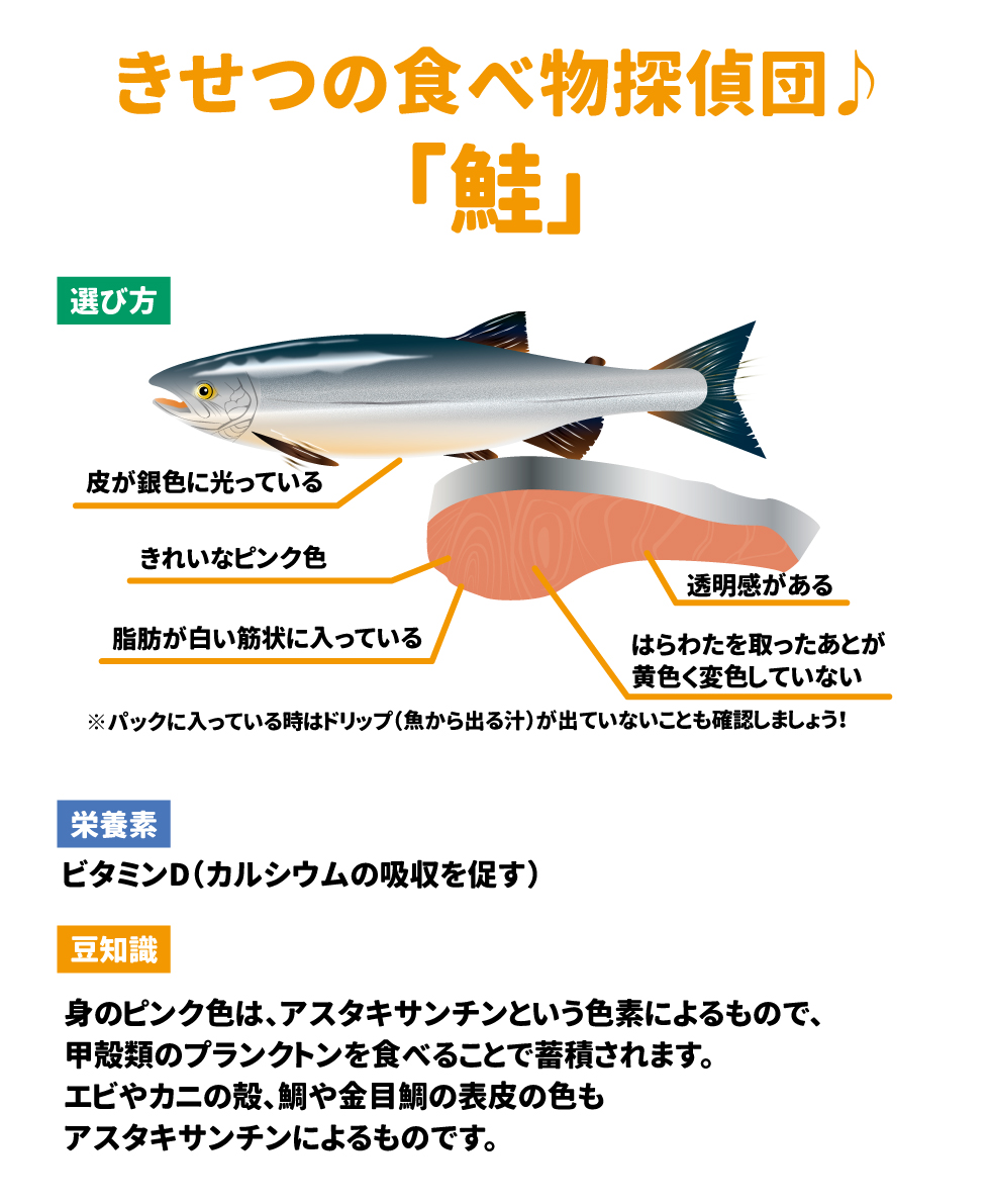 きせつの食べ物探偵団　　　鮭　 選び方：きれいなピンク色　透明感がある　脂肪が白い筋状に入っている　皮が銀色に光っている　 はらわたを取ったあとが黄色く変色していない　　　　　　　　　　　　　　　　　　　　　　　　　　　　　　　　　　　　　　　　　　　　　　　　　　　　　　　　　　※パックに入っている時はドリップ（魚から出る汁）が出ていないことも確認しましょう！  栄養素：ビタミンD（カルシウムの吸収を促す） 豆知識：身のピンク色は、アスタキサンチンという色素によるもので、甲殻類のプランクトンを食べることで蓄積されます。エビやカニの殻、鯛や金目鯛の表皮の色もアスタキサンチンによるものです。