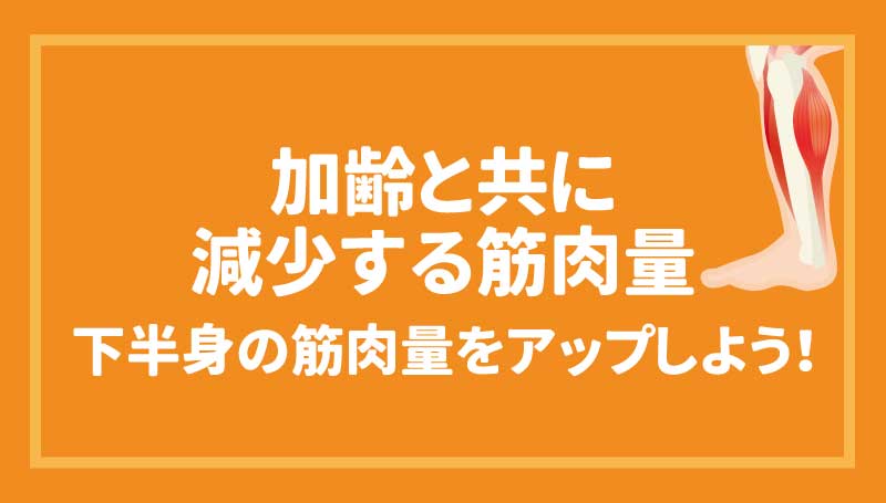 加齢と共に減少する筋肉量 下半身の筋肉量をアップしよう！