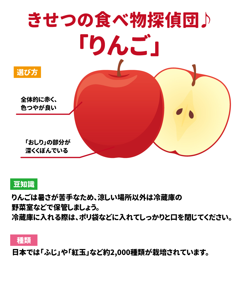 きせつの食べ物探検団　「りんご」 選び方　・全体的に赤く、色つやが良い・「おしり」の部分が深くくぼんでいる 豆知識　りんごは暑さが苦手なため、涼しい場所以外は冷蔵庫の野菜室などで保管しましょう。冷蔵庫に入れる際は、ポリ袋などに入れてしっかりと口を閉じてください。 種類　日本では「ふじ」や「紅玉」など約2,000種類が栽培されています。