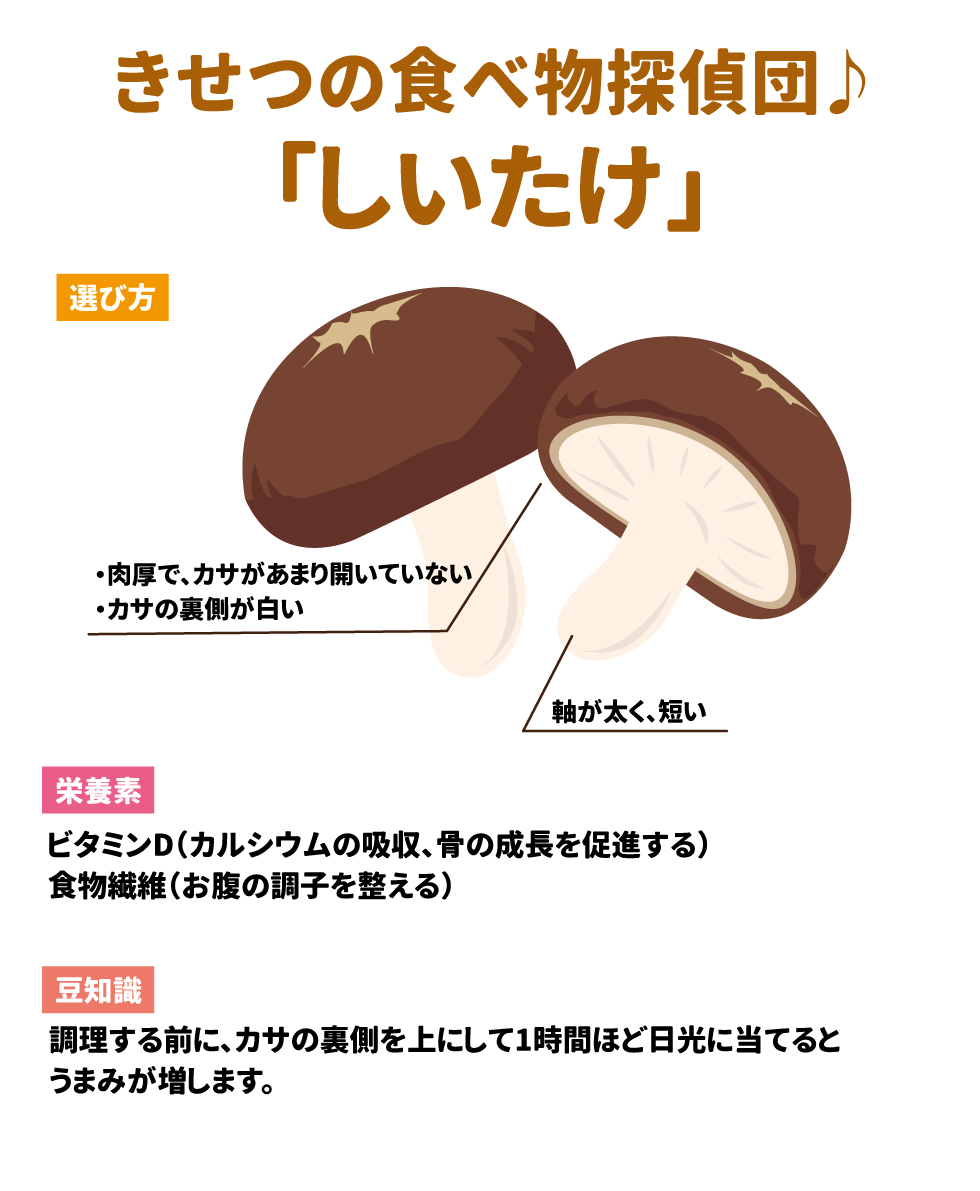 きせつの食べ物探検団「しいたけ」 選び方 肉厚で、カサがあまり開いていない カサの裏側が白い 軸が太く、短い 栄養素 ビタミンD（カルシウムの吸収、骨の成長を促進する） 食物繊維（お腹の調子を整える） 豆知識 調理する前に、カサの裏側を上にして1時間ほど日光に当てるとうまみが増します。