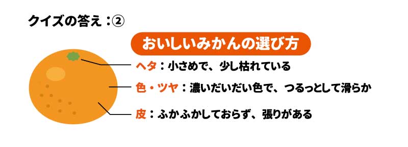 クイズの答え：② おいしいみかんの選び方 ヘタ；小さめで、少し枯れている 色・ツヤ；濃いだいだい色で、つるっとして滑らか 皮；ふかふかしておらず、張りがある