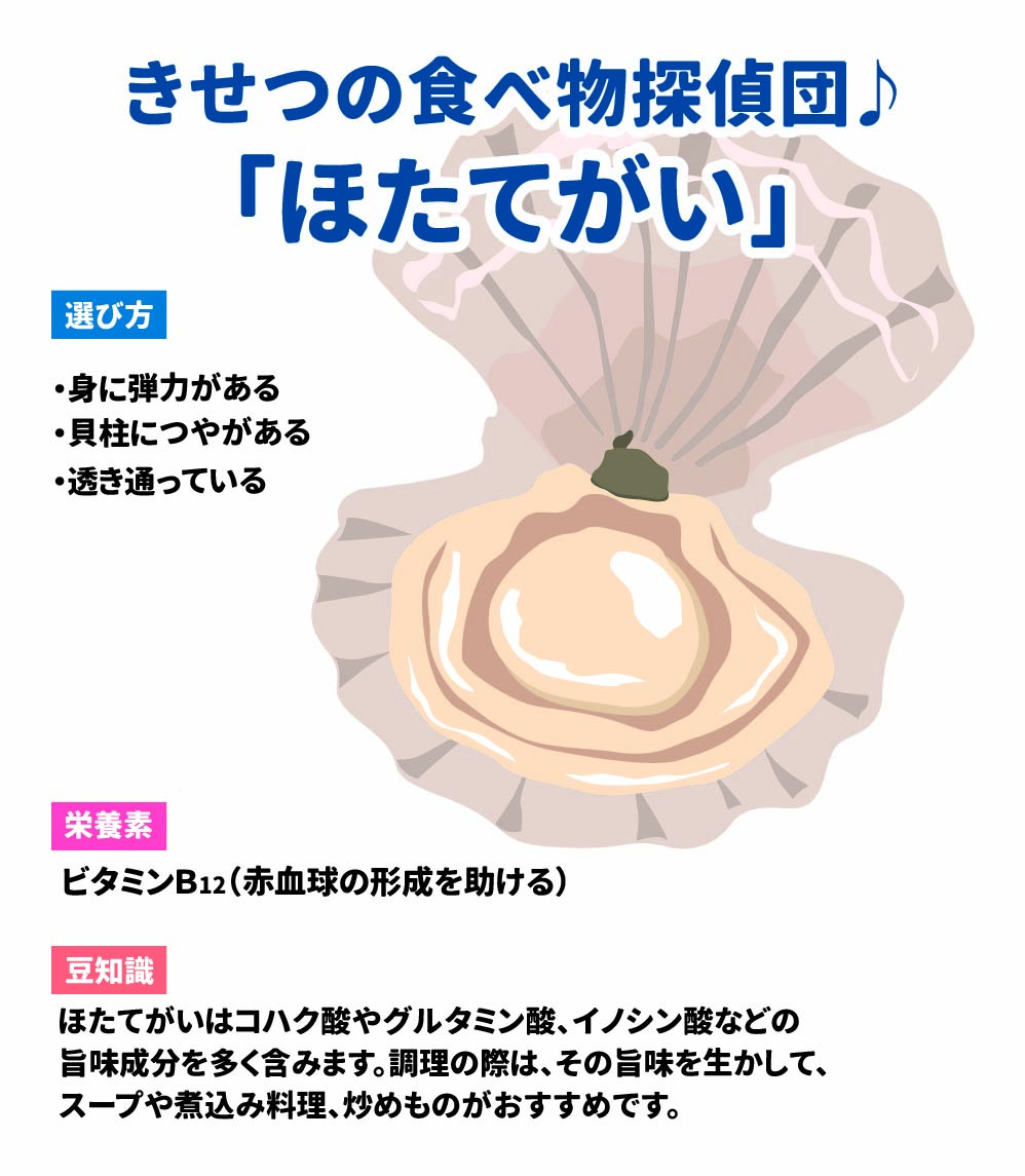 きせつの食べ物探偵団　　　ほたてがい 選び方： 身に弾力がある　貝柱につやがある　透き通っている 栄養素：ビタミンＢ12（赤血球の形成を助ける） 豆知識：ほたてがいはコハク酸やグルタミン酸、イノシン酸などの旨み成分を多く含みます。調理の際は、そのうま味を生かして、スープや煮込み料理、炒めものがおすすめです。  つくろう　食べよう　お料理大好き！