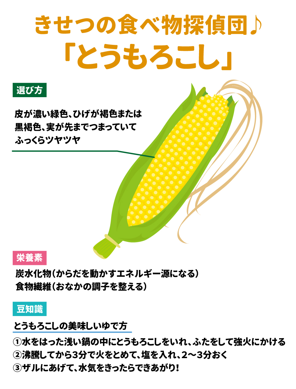 きせつの食べ物探偵団♪「とうもろこし」 選び方 皮が濃い緑色、ひげが褐色または黒褐色、実が先までつまっていてふっくらツヤツヤ 栄養素 炭水化物(からだを動かすエネルギー源になる) 食物繊維(おなかの調子を整える) 豆知識 とうもろこしの美味しいゆで方 ①水の入った浅い鍋の中にとうもろこしをいれ、ふたをして強火にかける ②沸騰してから3分で火をとめて、塩を入れ、2～3分おく ③ザルにあげて、水気をきったらできあがり！