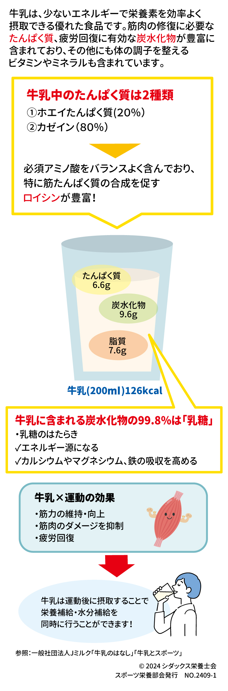 知って得するスポーツ栄養 牛乳のここがすごい！ 牛乳は、少ないエネルギーで栄養素を効率よく摂取できる優れた食品です。筋肉の修復に必要なたんぱく質、疲労回復に有効な炭水化物が豊富に含まれており、その他にも体の調子を整えるビタミンやミネラルも含まれています。 牛乳中のたんぱく質は2種類 ①ホエイたんぱく質(20％) ②カゼイン(80％) 必須アミノ酸をバランスよく含んでおり、特に筋たんぱく質の合成を促すロイシンが豊富！ たんぱく質6.6g 炭水化物9.6g 脂質7.6g 牛乳に含まれる炭水化物の99.8％は「乳糖」 ・乳糖のはたらき ✓エネルギー源になる ✓カルシウムやマグネシウム、鉄の吸収を高める 牛乳（200ml）126kcal 牛乳×運動の効果 ・筋力の維持・向上 ・筋肉のダメージを抑制 ・疲労回復 牛乳は運動後に摂取することで栄養補給・水分補給を同時に行うことができます！ 参照：一般社団法人Jミルク「牛乳のはなし」「牛乳とスポーツ」