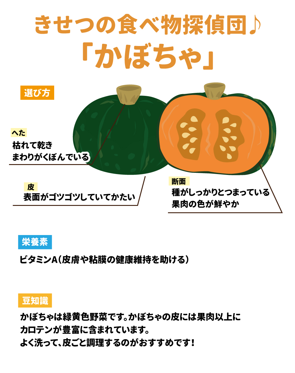 きせつの食べ物探偵団♪「かぼちゃ」 選び方 •	へた： 枯れて乾き、まわりがくぼんでいる。 •	皮： 表面がゴツゴツしていてかたい。 •	断面： 種がしっかりとつまっている。果肉の色が鮮やか。 栄養素 ビタミンA（皮膚や粘膜の健康維持を助ける） 豆知識 かぼちゃは緑黄色野菜です。かぼちゃの皮には果肉以上にカロテンが豊富に含まれています。よく洗って、皮ごと調理するのがおすすめです！