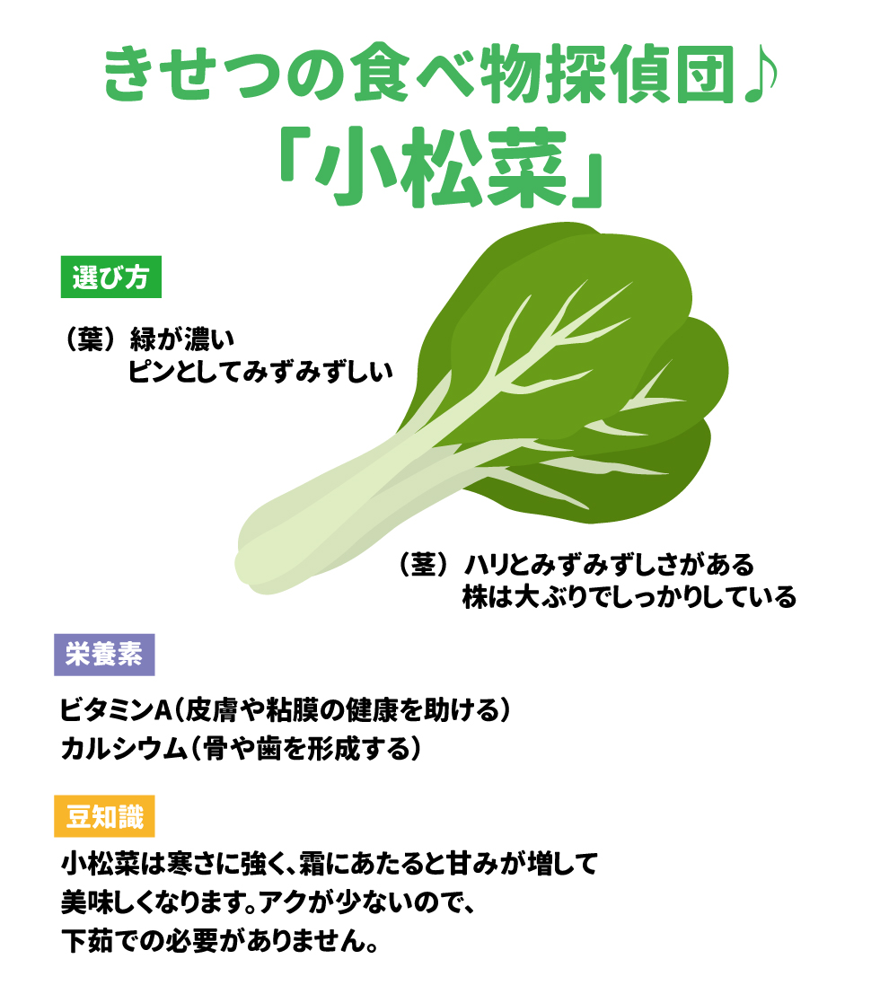 きせつの食べ物探偵団♪  「小松菜」  選び方 &bull;	(葉)緑が濃い &bull;	ピンとしてみずみずしい &bull;	(茎)ハリとみずみずしさがある &bull;	株は大ぶりでしっかりしている  栄養素 &bull;	ビタミンA(皮膚や粘膜の健康を助ける) &bull;	カルシウム(骨や歯を形成する)  豆知識 &bull;	小松菜は寒さに強く、霜にあたると甘みが増して 美味しくなります。アクが少ないので、 下茹での必要がありません。
