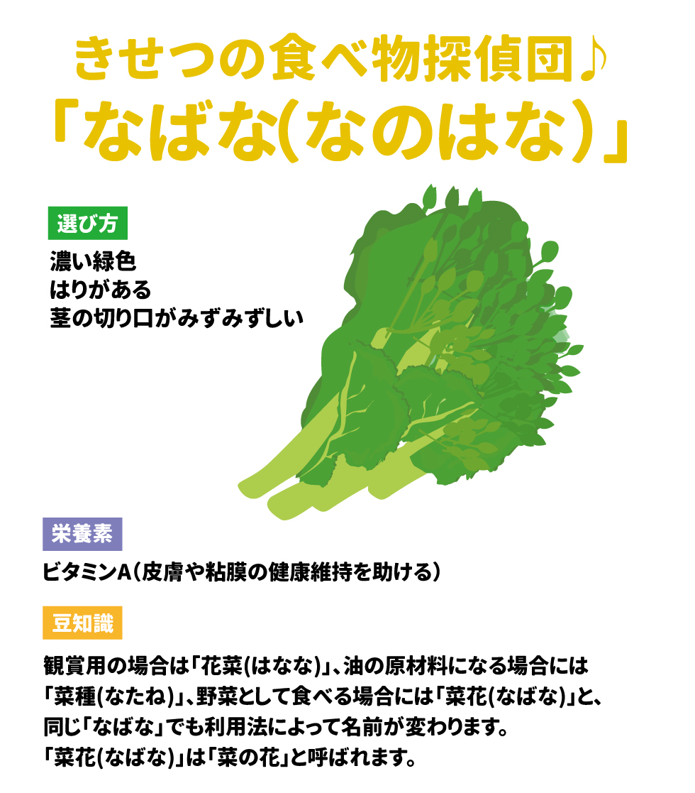 きせつの食べ物探偵団♪「なばな（なのはな）」 23 &bull;	選び方：濃い緑色で、はりがあり、茎の切り口がみずみずしいもの。 24 &bull;	栄養素：ビタミンA（皮膚や粘膜の健康維持を助ける）。 25 &bull;	豆知識：利用法によって呼び名が変わります。観賞用は「花菜」、油用は「菜種」、食用は「菜花（菜の花）」と呼ばれます。