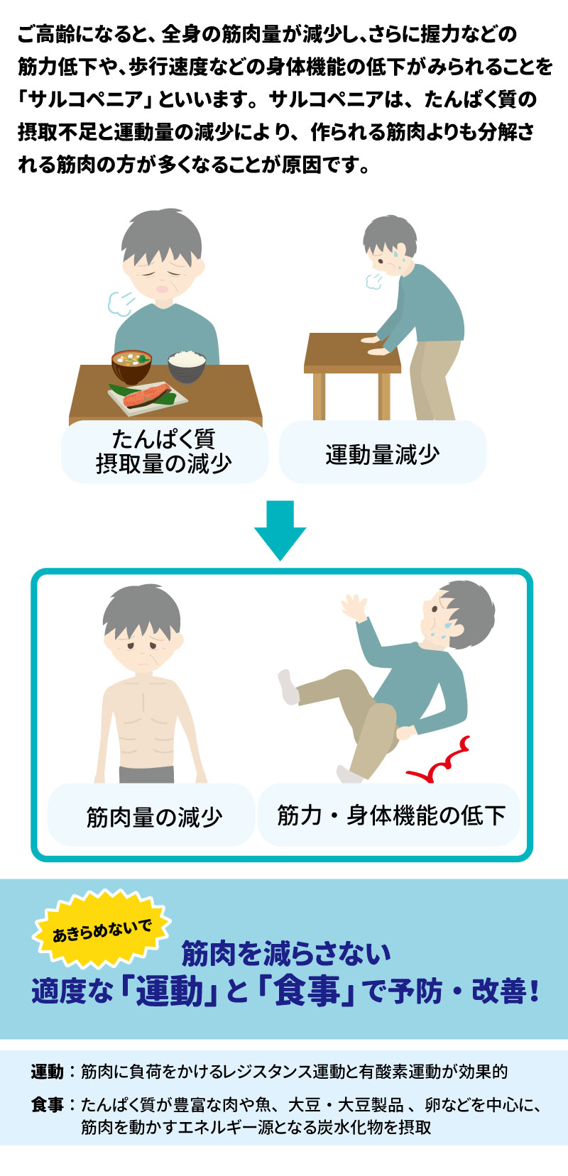 健康長寿を支える「あうこと」「①ること」「たべること」を中心とした健康情報が掲載されています。 1. 脱・サルコペニアで元気いきいき！ &bull;	サルコペニアとは: 加齢により全身の筋肉量が減少し、握力や歩行速度などの身体機能が低下することを指します。たんぱく質の摂取不足と運動量の減少が主な原因です。 3 &bull;	悪循環のメカニズム: たんぱく質摂取量の減少と運動量減少が重なることで、筋肉量が減少し、さらに筋力・身体機能の低下を招きます。 4 &bull;	予防・改善方法: 適度な「運動」と「食事」が重要です。 5 &bull;	運動: 筋肉に負荷をかけるレジスタンス運動と有酸素運動が効果的です。 6 &bull;	食事: 炭水化物（エネルギー源）に加え、たんぱく質が豊富な肉、魚、大豆製品、卵などを摂取しましょう。