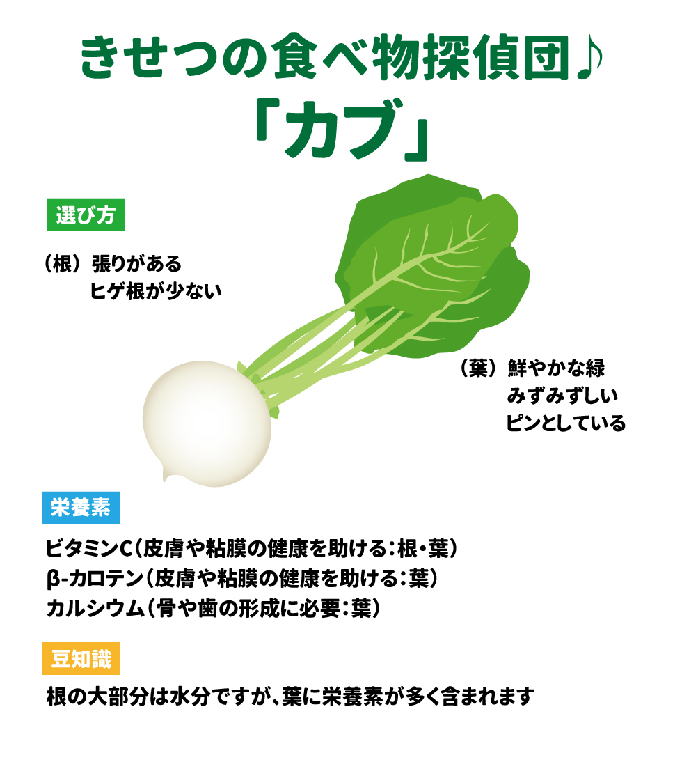 ■ きせつの食べ物探偵団♪「カブ」 &bull;	選び方: o	根：張りがあり、ヒゲ根が少ないもの 。 o	葉：鮮やかな緑で、みずみずしくピンとしているもの 。 &bull;	栄養素: o	ビタミンC（根・葉）、&beta;-カロテン（葉）、カルシウム（葉） 。 &bull;	豆知識: 根の大部分は水分ですが、葉に栄養素が多く含まれます 。