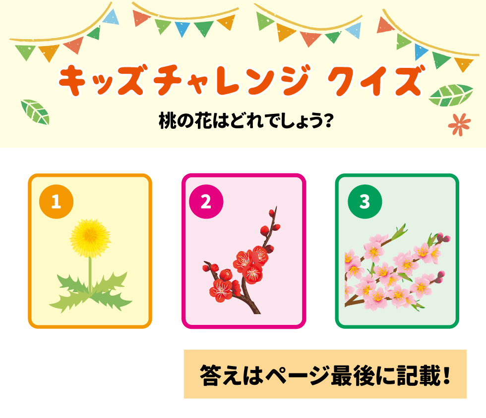 キッズチャレンジクイズ 桃の花はどれでしょう