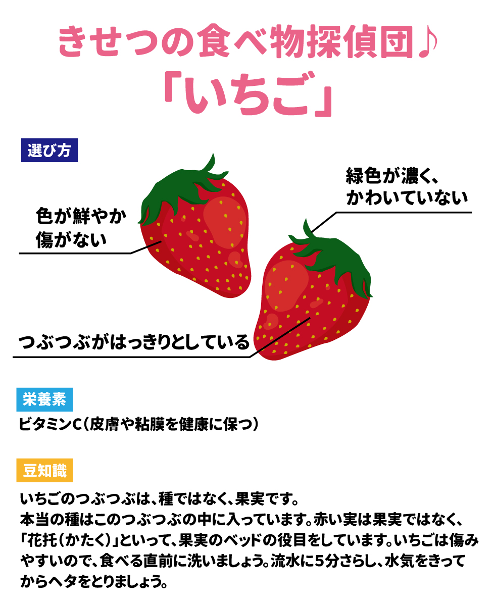 ●きせつの食べ物探偵団♪「いちご」 選び方 色が鮮やか　傷がない 緑色が濃く、かわいていない つぶつぶがはっきりとしている  栄養素 ビタミンC(皮膚や粘膜を健康に保つ) 豆知識 いちごのつぶつぶは、種ではなく、果実です。本当の種はこのつぶつぶの中に入っています。赤い実は果実ではなく、「花托(かたく)」といって、果実のベッドの役目をしています。イチゴは傷みやすいので、食べる直前に洗いましょう。流水に5分さらし、水気をきってからヘタをとりましょう。