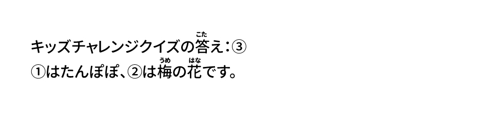 答え：③　①はたんぽぽ、②は梅の花です。