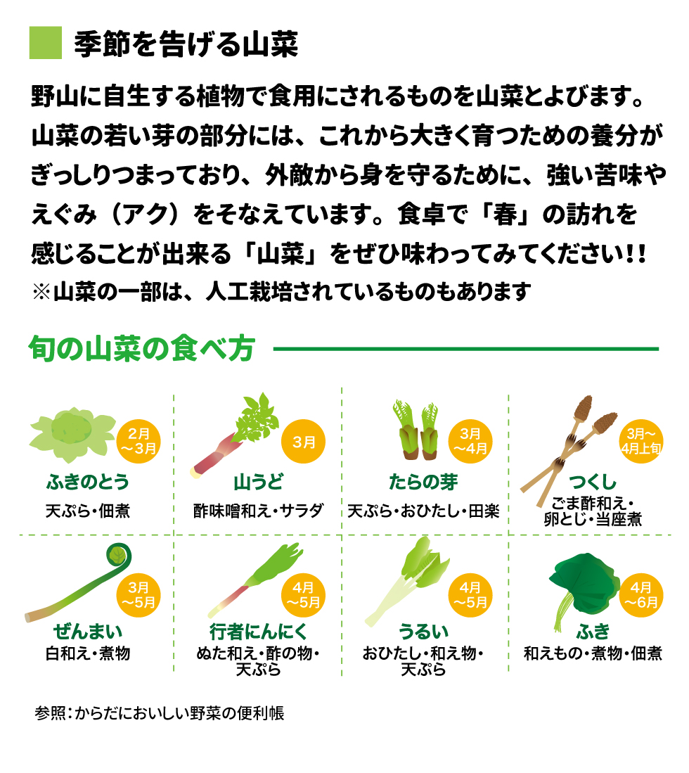 季節を告げる山菜 野山に自生する植物で食用にされるものを山菜とよびます。山菜の若い芽の部分には、これから大きく育つための養分がぎっしりつまっており、外敵から身を守るために、強い苦みやえぐみ(アク)をそないえています。食卓で「春」の訪れを感じることが出来る「山菜」をぜひ味わってみてください!!   旬の山菜の食べ方 ふきのとう　2月～3月　天ぷら・佃煮 山うど　3月　酢味噌和え・サラダ たらの芽　3月～4月　天ぷら・おひたし・田楽 つくし　3月～4月　ごま酢和え・卵とじ・当座煮 ぜんまい　3月～5月　白和え・煮物 行者にんにく　4月～5月　ぬた和え・酢の物・天ぷら うるい　4月～5月　おひたし・和え物・天ぷら ふき　4月～6月　和えもの・煮物・佃煮 ※裏面にふきを使ったレシピを掲載しています 参考：からだにおいしい野菜の便利帳