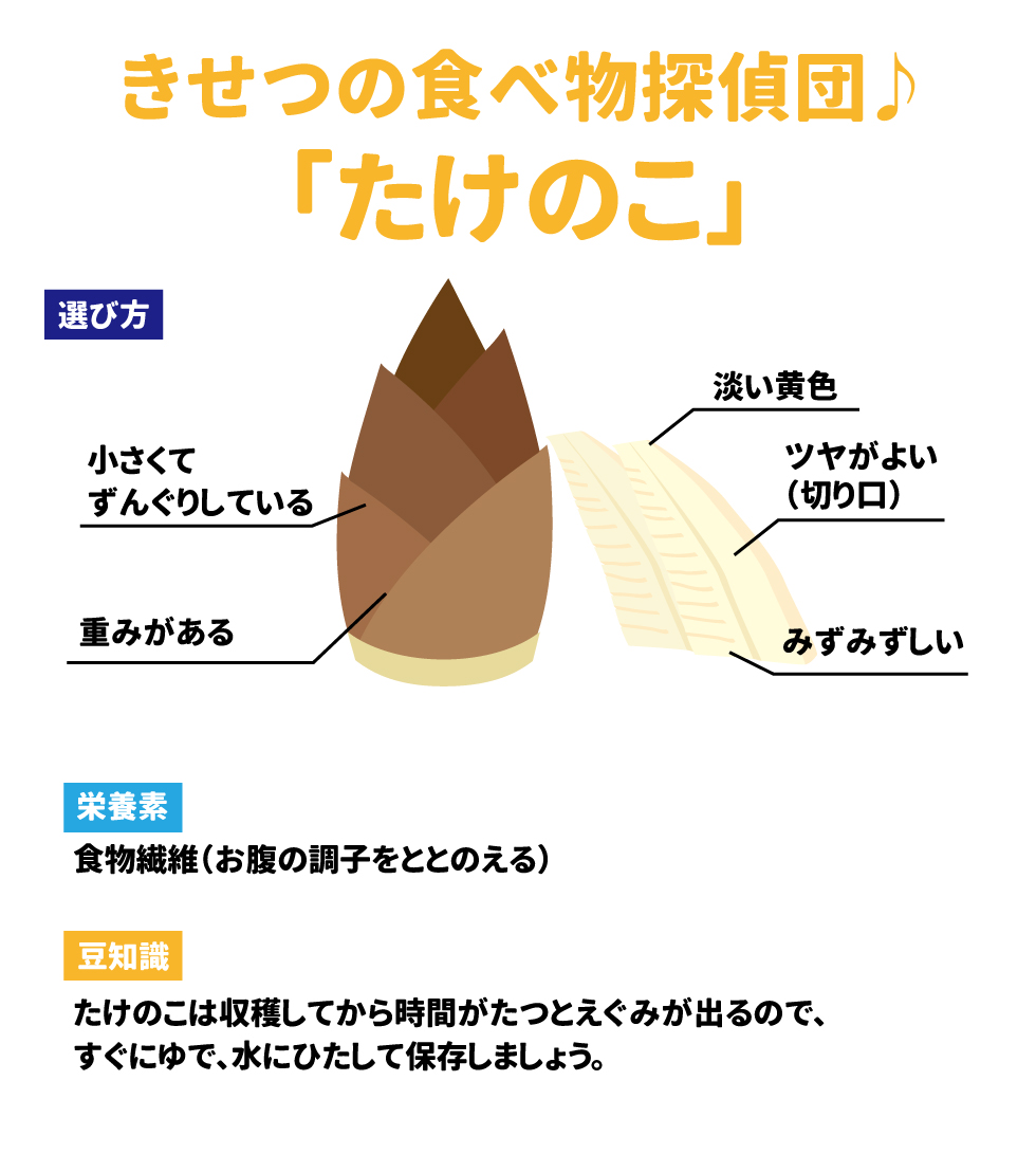 きせつの食べ物探偵団♪「たけのこ」 選び方 小さくてずんぐりしている 重みがある 淡い黄色 ツヤがよい(切り口) みずみずしい  栄養素 食物繊維(お腹の調子をととのえる) 豆知識 たけのこは収穫してから時間がたつとえぐみが出るので、すぐにゆで、水にひたして保存しましょう。