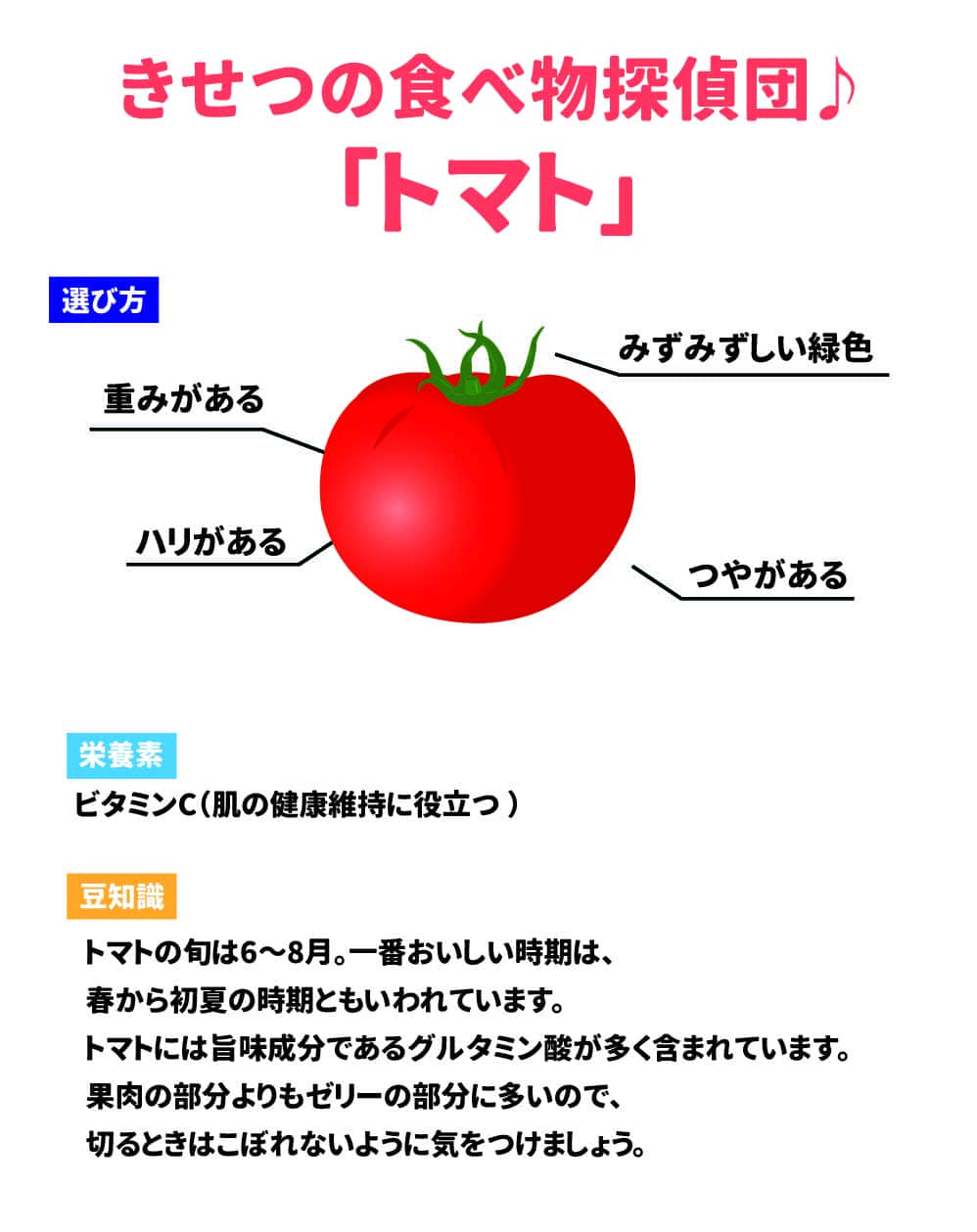 きせつの食べ物探偵団♪ 「トマト」  選び方 重みがある ハリがある みずみずしい緑色 つやがある  栄養素 ビタミンC(肌の健康に役立つ)  豆知識 トマトの旬は6～8月。一番おいしい時期は、 春から初夏の時期ともいわれています。 トマトには旨味成分であるグルタミン酸が多く含まれています。 果肉の部分よりもゼリーの部分に多いので、 切るときはこぼれないように気をつけましょう。