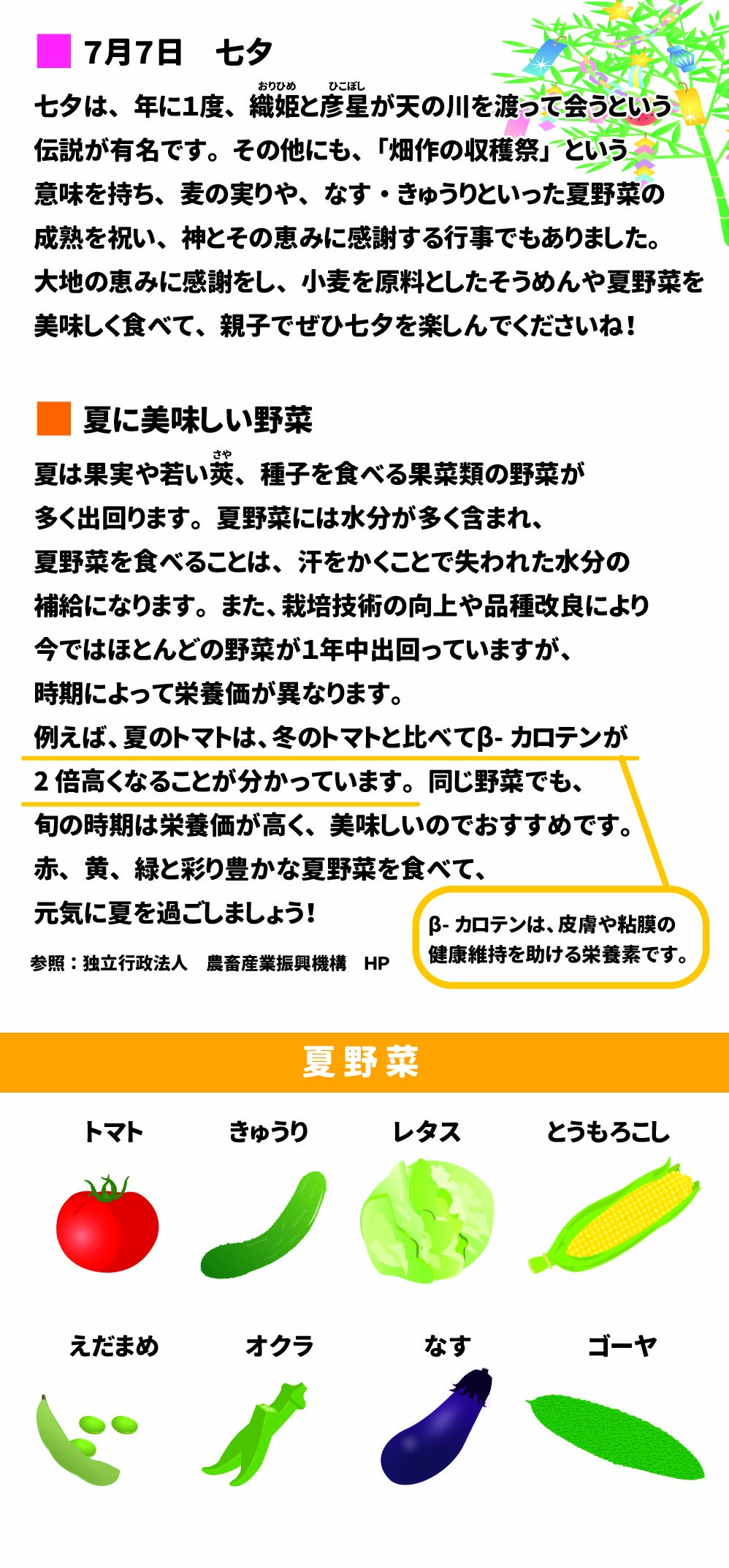 7月7日 七夕 おりひめ ひこぼし 七夕は、年に1度、織姫と彦星が天の川を渡って会うという伝説が有名です。 その他にも、「畑作の収穫祭」という意味を持ち、麦の実りや、なす・きゅうりといった夏野菜の成熟を祝い、神とその恵みに感謝する行事でもありました。大地の恵みに感謝をし、小麦を原料としたそうめんや夏野菜を美味しく食べて、親子でぜひ七夕を楽しんでくださいね! 夏に美味しい野菜 夏は果実や若い莢、種子を食べる果菜類の野菜が多く出回ります。 夏野菜には水分が多く含まれ、夏野菜を食べることは、汗をかくことで失われた水分の補給になります。 また、栽培技術の向上や品種改良により今ではほとんどの野菜が1年中出回っていますが、時期によって栄養価が異なります。 例えば、夏のトマトは、冬のトマトと比べてβ-カロテンが2倍高くなることが分かっています。 同じ野菜でも、旬の時期は栄養価が高く、美味しいのでおすすめです。 赤、黄、緑と彩り豊かな夏野菜を食べて、元気に夏を過ごしましょう! 参照:独立行政法人 農畜産業振興機構 HP  夏野菜: トマト、きゅうり、レタス、とうもろこし、えだまめ、オクラ、なす、ゴーヤ  β-カロテンは、皮膚や粘膜の健康維持を助ける栄養素です。 