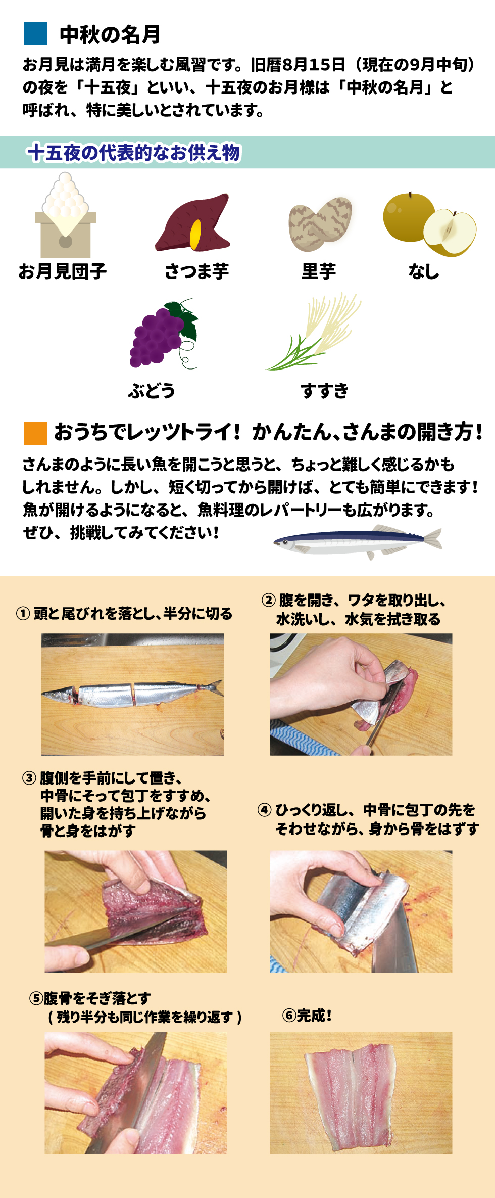 給食だより　2024年9月号 9月になりました。まだまだ残暑が厳しいですが、朝夕は少し涼しくなってきましたね。いよいよ実りの秋がやってきます。たくさんの魚や芋、果物が食べ頃をむかえます。美味しい秋の味覚や作物で実りの秋を楽しみましょう！ 中秋の名月 お月見は満月を楽しむ風習です。旧暦8月15日(現在の9月中旬)の夜を「十五夜」といい、十五夜のお月様は「中秋の名月」と呼ばれ、特に美しいとされています。 十五夜の代表的なお供え物 お月見団子　さつま芋　里芋　なし　ぶどう　すすき おうちでレッツトライ！かんたん、さんまの開き方！ さんまのように長い魚を開こうと思うと、ちょっと難しく感じるかもしれません。しかし、短く切ってから開けば、とても簡単にできます！魚が開けるようになると、魚料理のレパートリーも広がります。ぜひ、挑戦してみてください！ ①頭と尾びれを落とし、半分に切る ②腹を開き、ワタを取り出し、水洗いし、水気をふき取る ③腹側を手前にして置き、中骨にそって包丁を進め、開いた身を持ち上げながら骨と身をはがす ④ひっくり返し、中骨に包丁の先をそわせながら、身から骨をはずす ⑤腹骨をそぎ落とす(残り半分も同じ作業を繰り返す) ⑥完成！