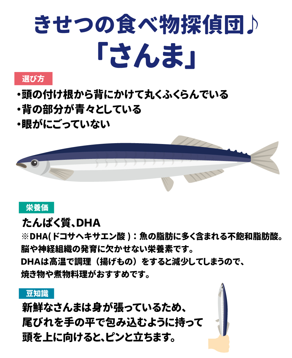 きせつの食べ物探偵団♪「さんま」 選び方 ・頭の付け根から背にかけて丸くふくらんでいる ・背の部分が青々としている ・目がにごっていない 栄養価 たんぱく質、DHA ※DHA(ドコサヘキサエン酸)：魚の脂肪に多く含まれる不飽和脂肪酸。脳や神経組織の発育に欠かせない栄養素です。DHAは高温で調理(揚げ物)をすると減少してしまうので、焼き物や煮物料理がおすすめです。 豆知識 新鮮なさんまは実が張っているため、尾びれを手の平で包み込むように持って頭を上に向けると、ピンと立ちます