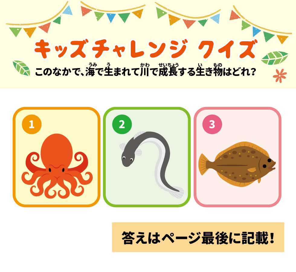 キッズチャレンジクイズ このなかで、海で生まれて川で成長する生き物はどれ？