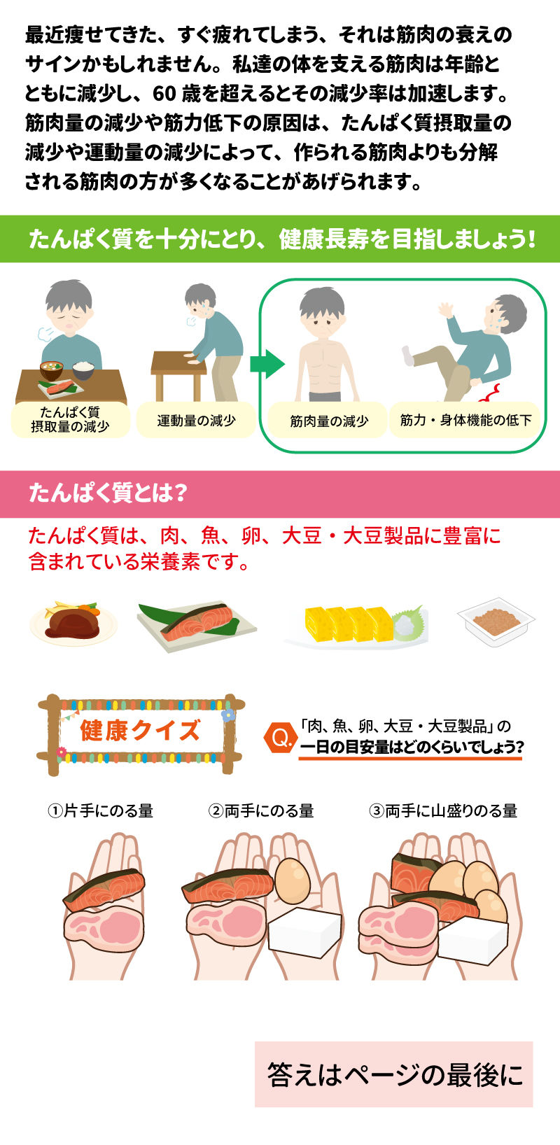 あした健康塾　健康レター　２０２５年４月 元気な筋肉で健康寿命１ たんぱく質足りていますか？ 健康寿命を支える大切な「あうこと」「しること」「たべること」を中心とした、健康情報を毎月お届け！ 最近痩せてきた、すぐ疲れてしまう、それは筋肉の衰えのサインかもしれません。 私達の体を支える筋肉は年齢とともに減少し、60歳を超えるとその減少率は加速します。筋肉量の減少や筋力低下の原因は、たんぱく質摂取量の減少や運動量の減少によって、作られる筋肉よりも分解される筋肉の方が多くなることがあげられます。  たんぱく質を十分にとり、健康長寿を目指しましょう！ たんぱく質摂取量の減少 運動量の減少 筋肉量の減少 筋力・身体機能の低下  たんぱく質とは？ たんぱく質は、肉、魚、卵、大豆・大豆製品に豊富に含まれている栄養素です。  健康クイズ 「肉、魚、卵、大豆・大豆製品」の一日の目安量はどのくらいでしょう？ ①片手にのる量　　②両手にのる量　　③両手に山盛りのる量 答え：②両手にのる量 肉、魚、卵、大豆・大豆製品は1日分の目安量として両手にのる量をとりましょう！