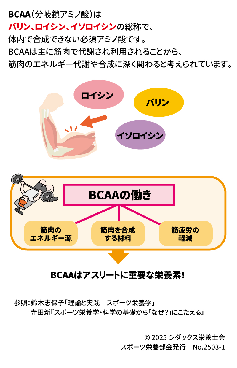 知って得するスポーツ栄養 アスリートとBCAA BCAA(分岐鎖アミノ酸)はバリン、ロイシン、イソロイシンの総称で、体内で合成できない必須アミノ酸です。BCAAは主に筋肉で代謝されることから、筋肉のエネルギー代謝や合成に深く関わると考えられています。 BCAAの働き 筋肉のエネルギー源 筋肉を合成する材料 筋疲労の軽減 BCAAはアスリートに重要な栄養素！ 参照：鈴木志保子「理論と実践　スポーツ栄養学」 　　　寺田新『スポーツ栄養学・科学の基礎から「なぜ？」にこたえる』 2025　シダックス栄養士会　スポーツ栄養部会発行　No.2503－1