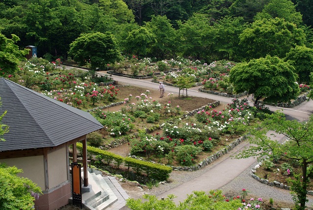 長谷ぼたん園（施設管理業務等）