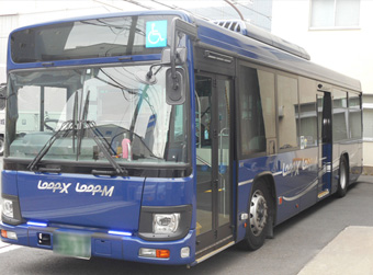 LOOP-X