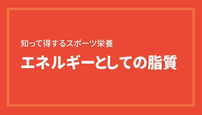 エネルギーとしての脂質