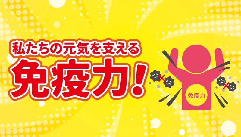 私たちの元気を支える　免疫力！