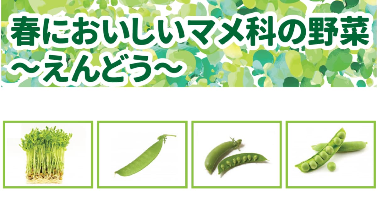 春においしいマメ科の野菜ーえんどうー